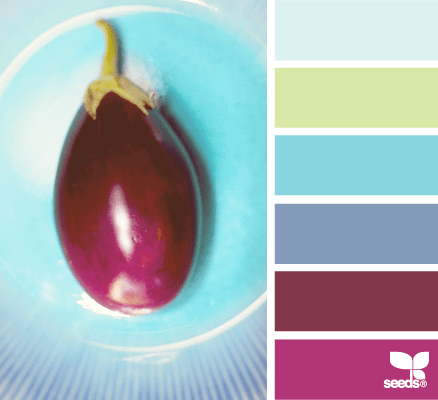One of thousands of color schemes all ready to use at Design-Seeds.com