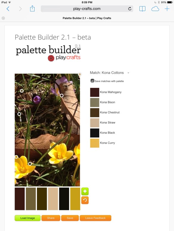 screen shot from Palette Builder
